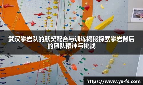 武汉攀岩队的默契配合与训练揭秘探索攀岩背后的团队精神与挑战